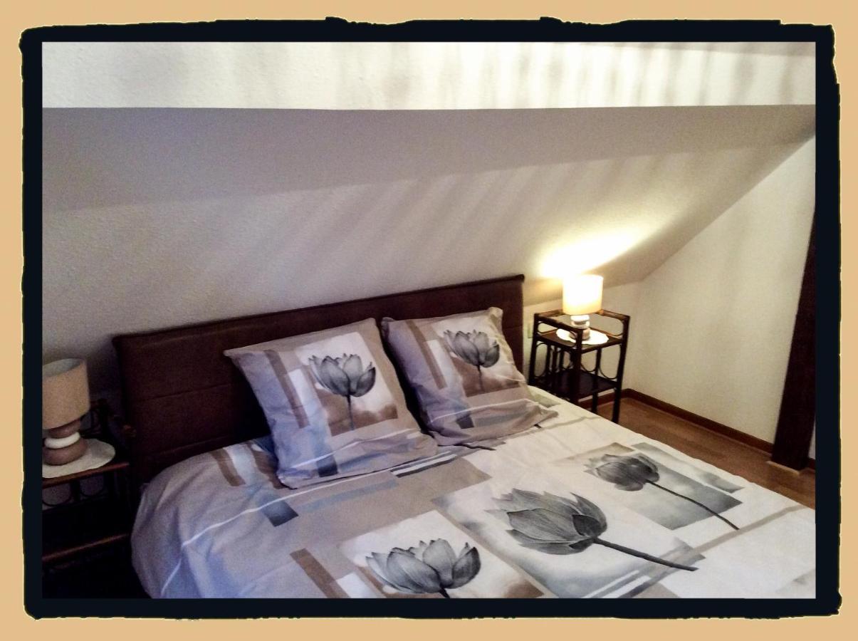 Residence Des Lentilles 希尔蒂盖姆 外观 照片