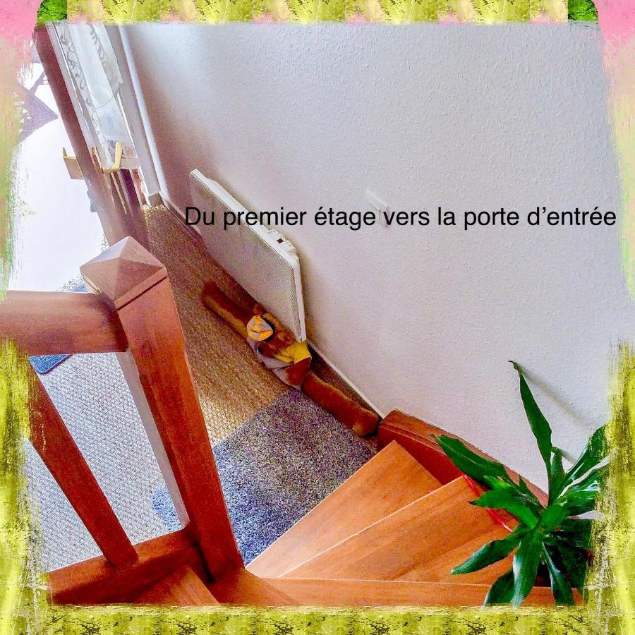 Residence Des Lentilles 希尔蒂盖姆 外观 照片